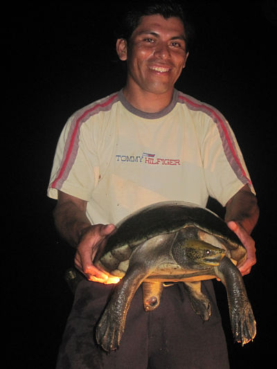 belizean_researcher_tom_pop_with_captured_dermatemys_on_the_temash_river04.20.10