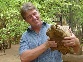 dave-large-female-star-tortoise