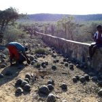 Great-Wall-of-Tortoises-FINAL-768x576|Group Photo 3 FINAL|Hauling Tortoises to Forest FINAL|Keepers Check Off Tortoises FINAL|Soaking Tortoises 4 FINAL|Tortoise Tai Chi|Great Wall of Tortoises FINAL