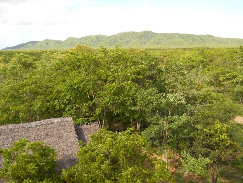 Minzon_Taung_mountain_viewed_from_firetower_in_southwestern_corner_of____sanctuary.__The_elevation_of_summit_is_398_m_above_sea_level