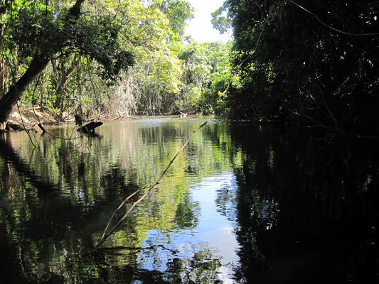 pond_near_gales_point5.5.10