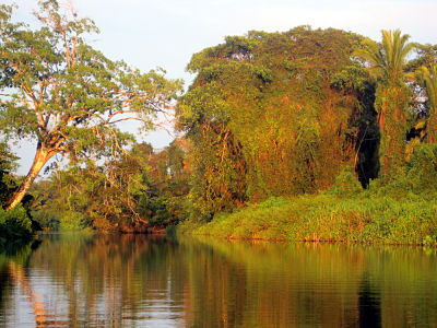 rio_grande_toledo_district_belize04.17.10