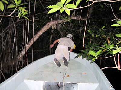 Searching_for_hickatee_in_Wagner_Creek_Northern_Lagoon05.07.10