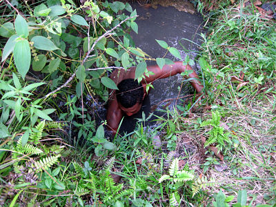 searching_for_juvenile_hickatee_in_pool5.1.10