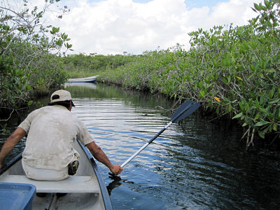 Surveying_Sapodilla_Creek_Western_Lagoon05.08.10